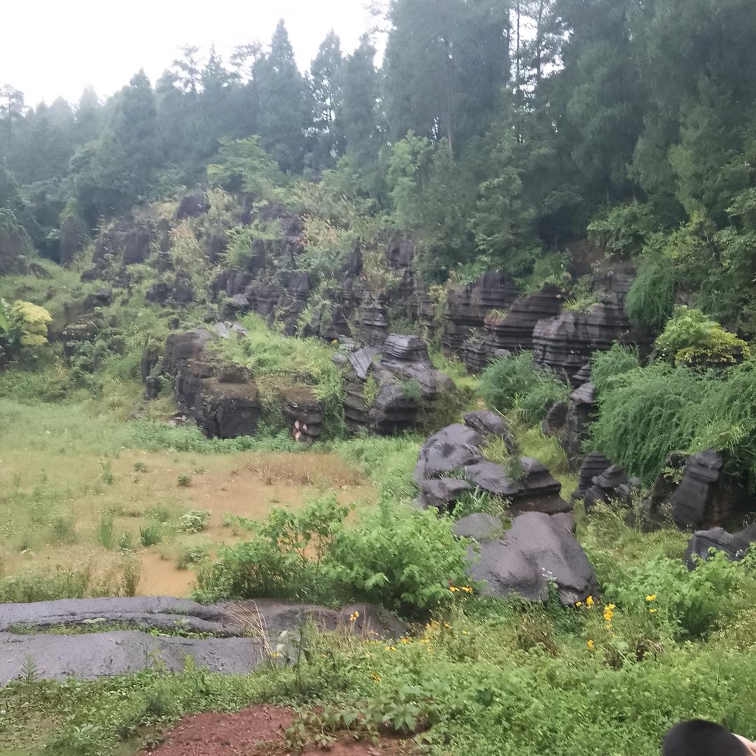 默憾默德