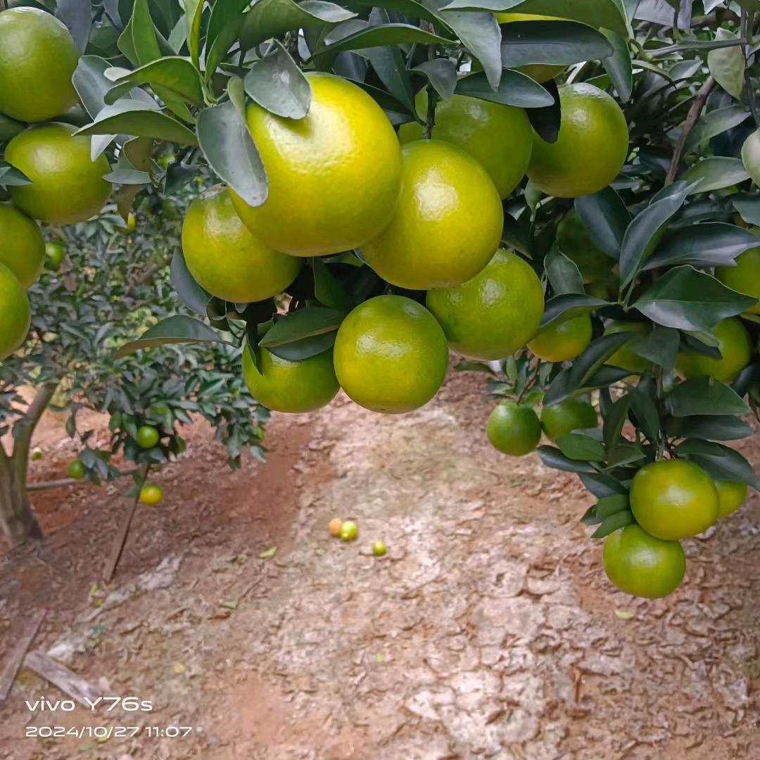 ꧔ꦿ᭄浓烟ꦿ*伴酒ꕥ᭄ℳ