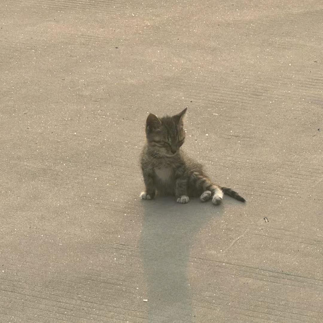 叫我前夫哥