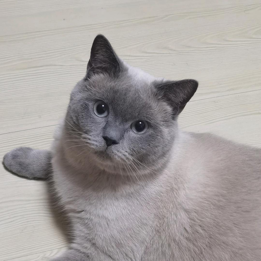小满它爹