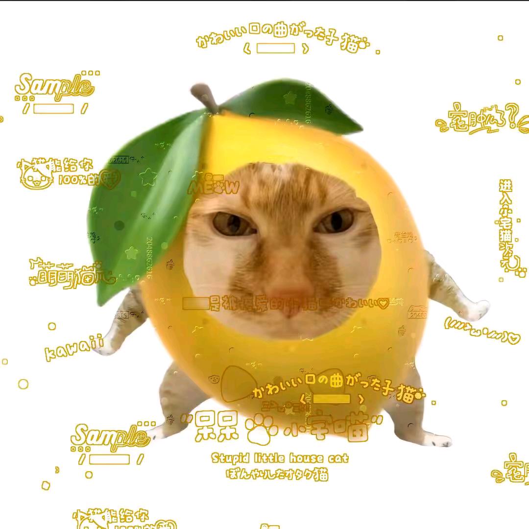 宇智波佐助