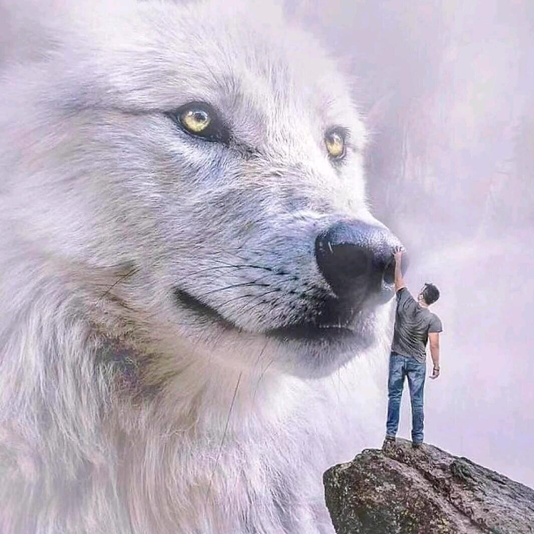 孤独的灵魂