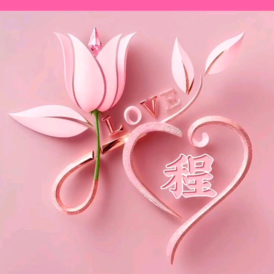 博博宝贝