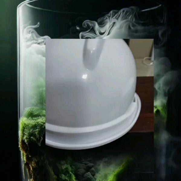 逍遥苍穹
