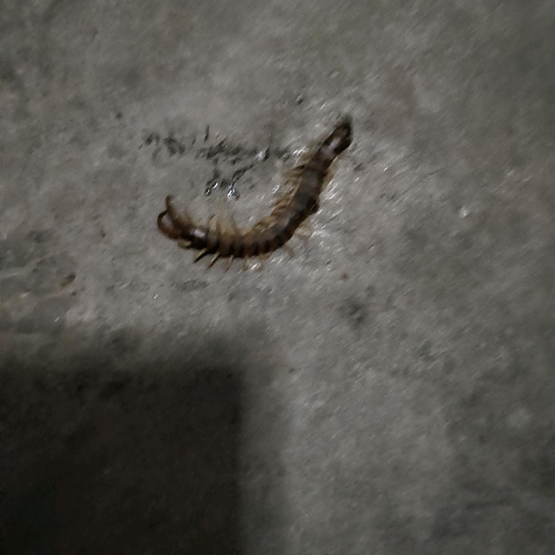 谁能明白我