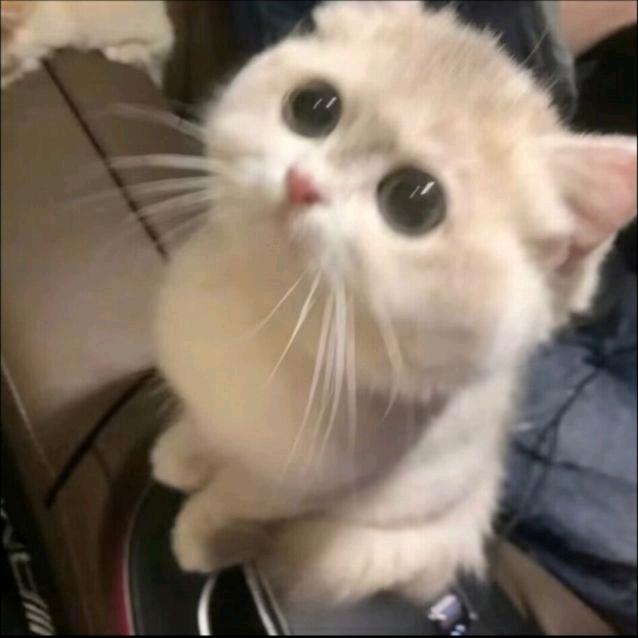 讨厌睡不醒