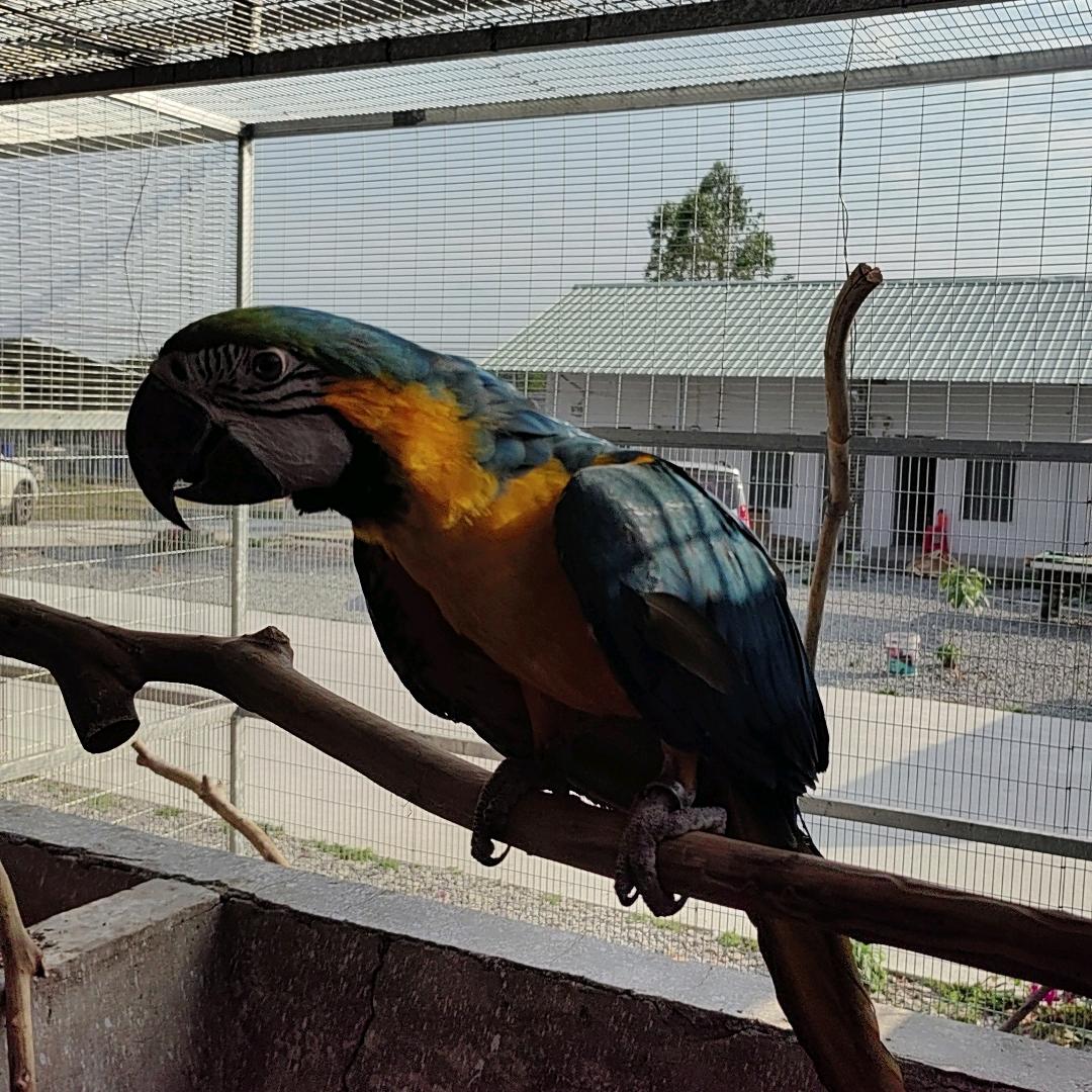 荣杰特色市集