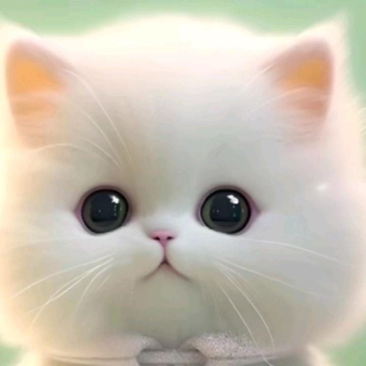 小十八
