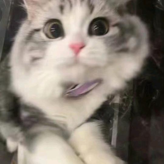 晚点起