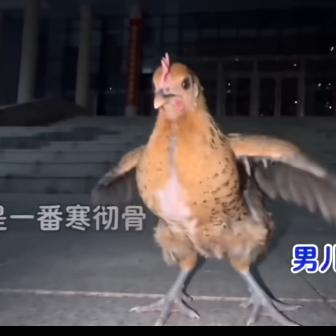 王文章头像