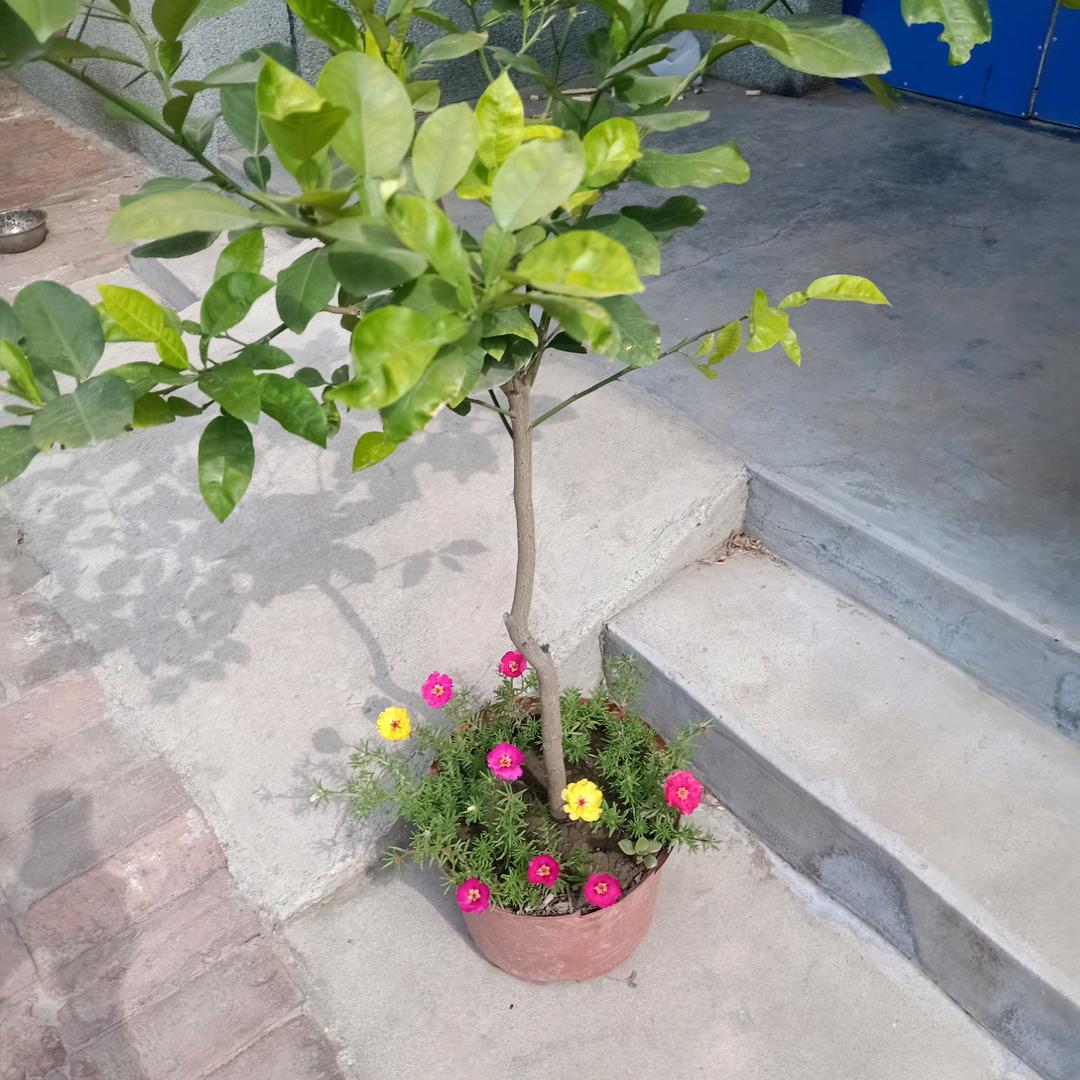 顺天意，过好余生