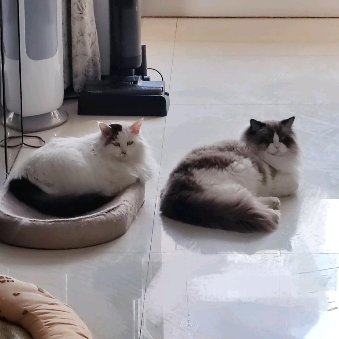 琪琪❤️❤️❤️