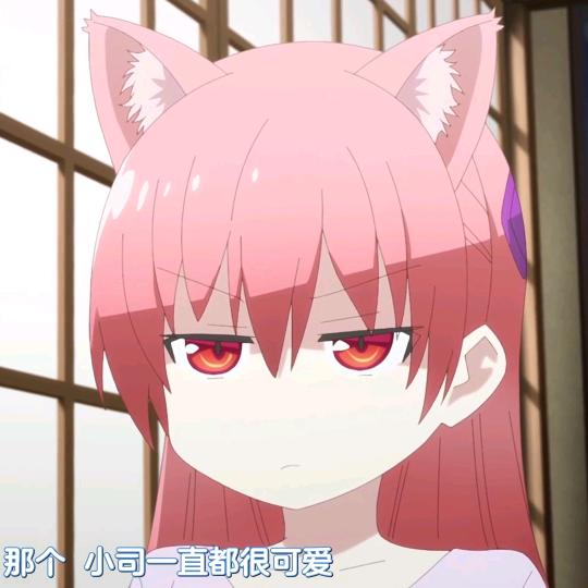 蠢呆忘