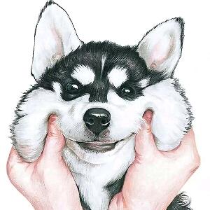 寂静无笙