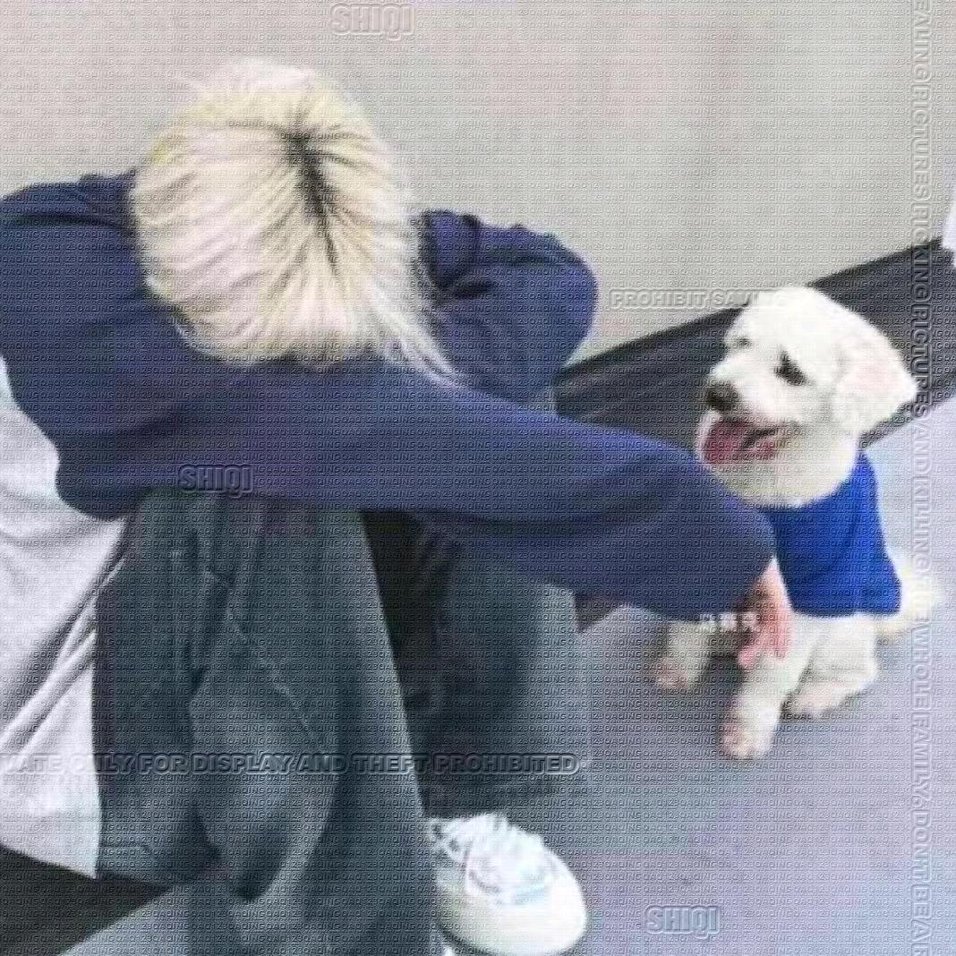 十七の