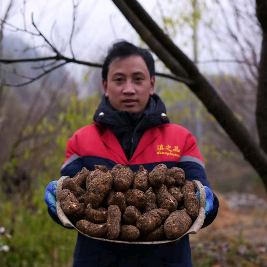 滇之品（周丁）