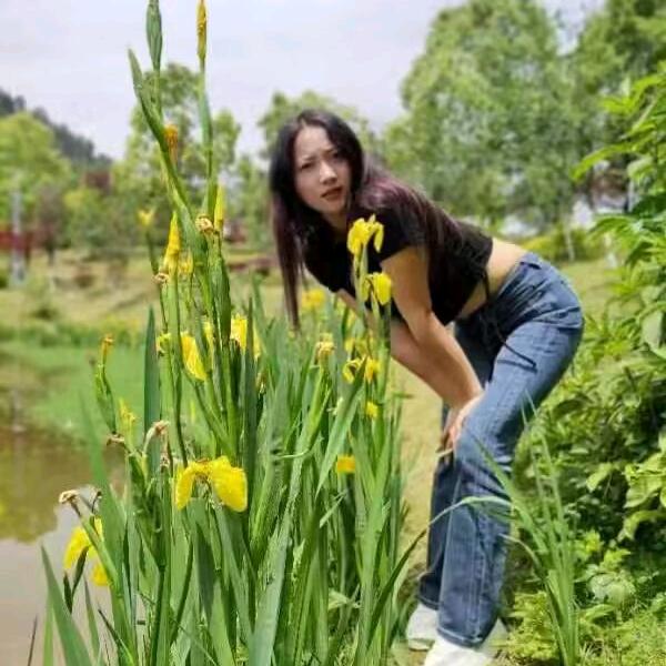 务川刮腻子小刘