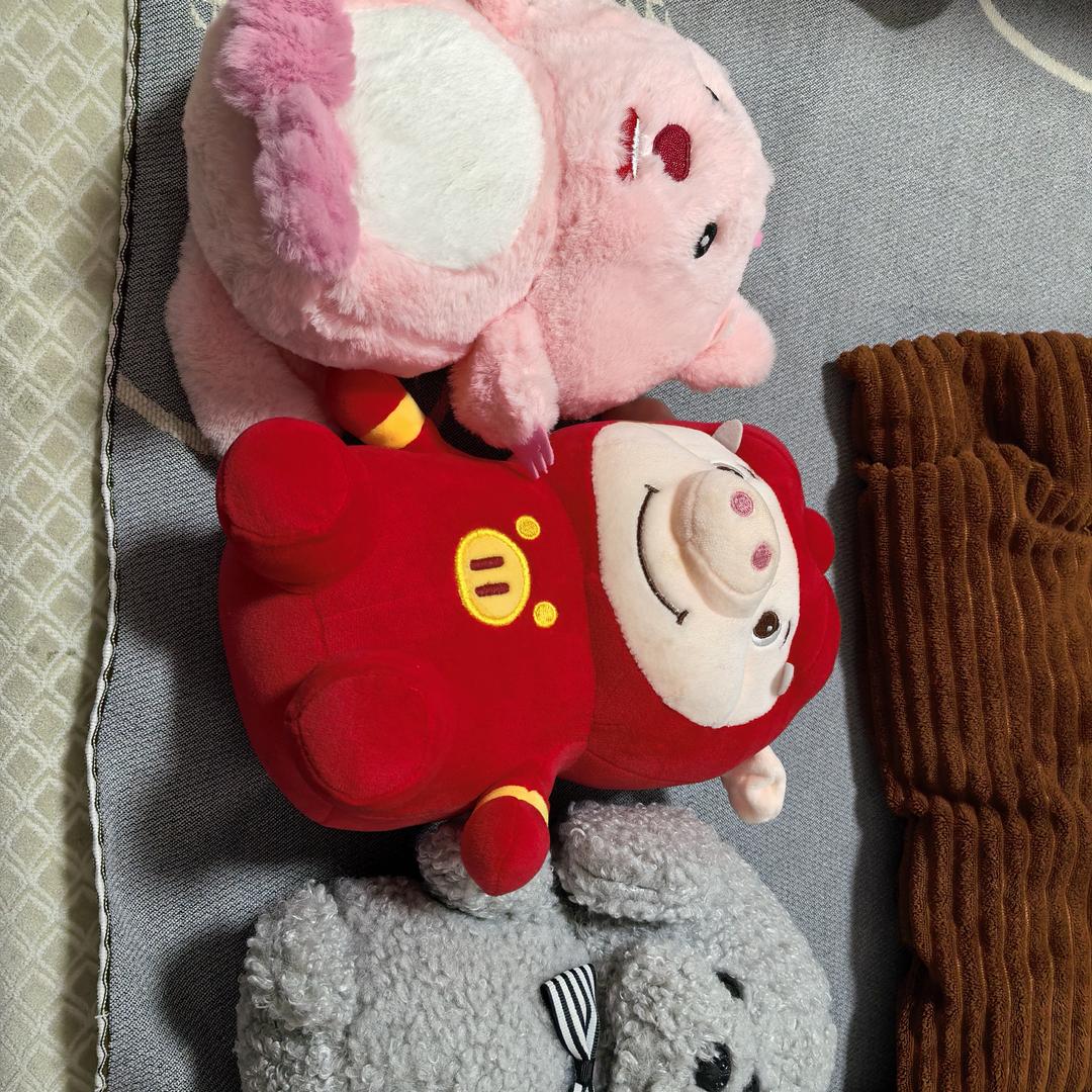 梦🐯菲🐮💖你