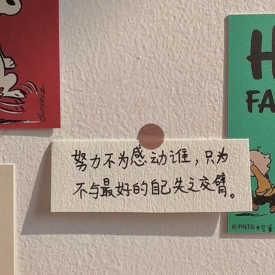 DD小苟
