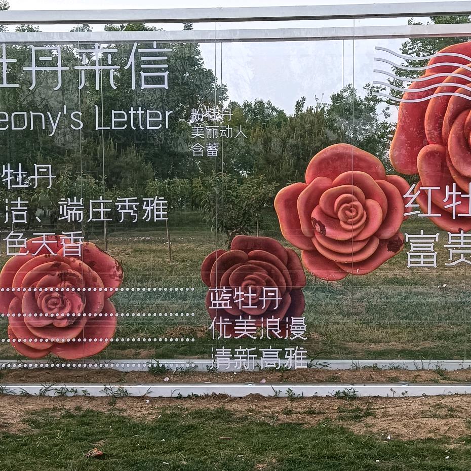 路在脚下