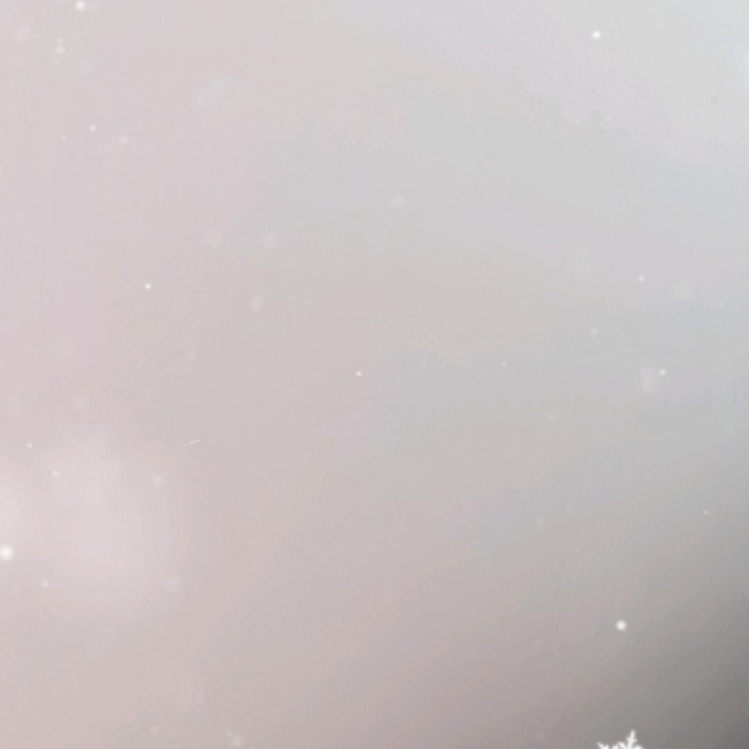 珊珊来了