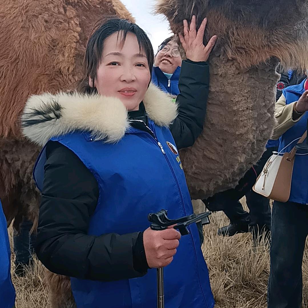 豹山黄卖豆腐的黄大姐