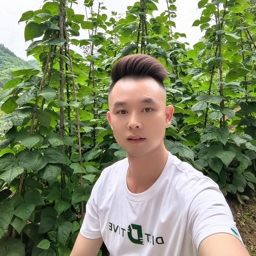 陕西王哥