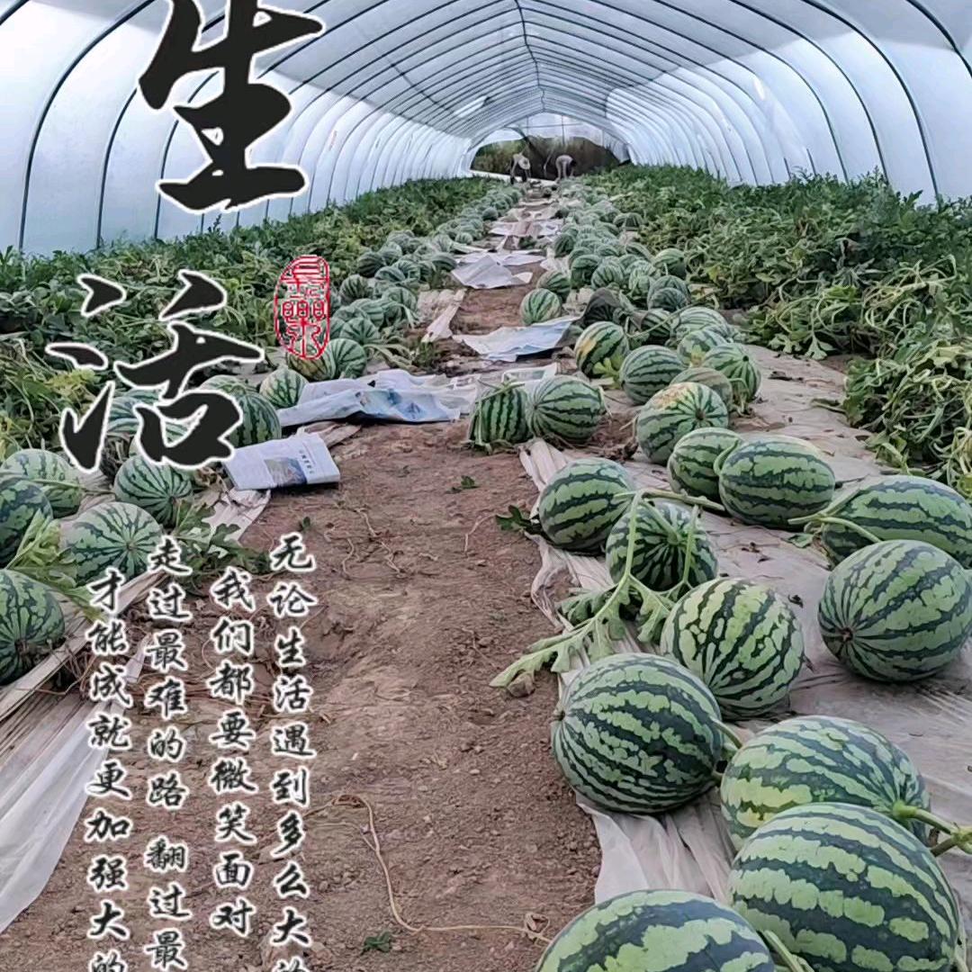 家和万事兴