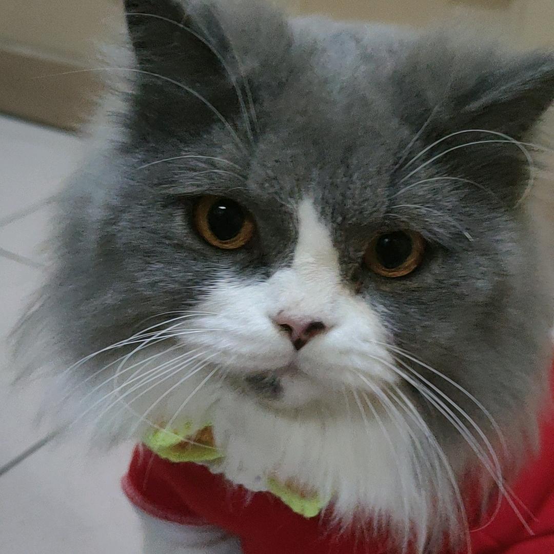 এ᭄ꦿ꯭ꫛ糖糖不吃鱼꧔ꦿএ᭄💕