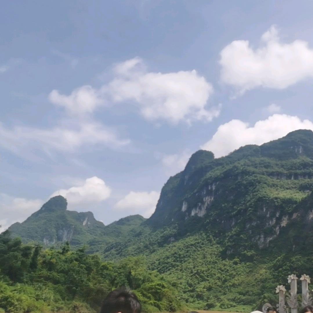 秦桂致和