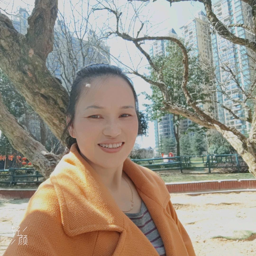 健康发财树1