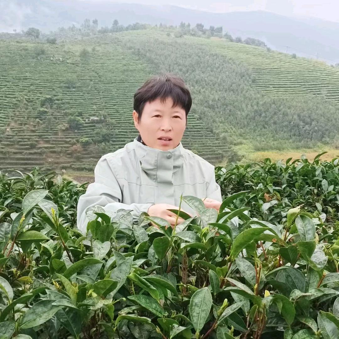 老李回收