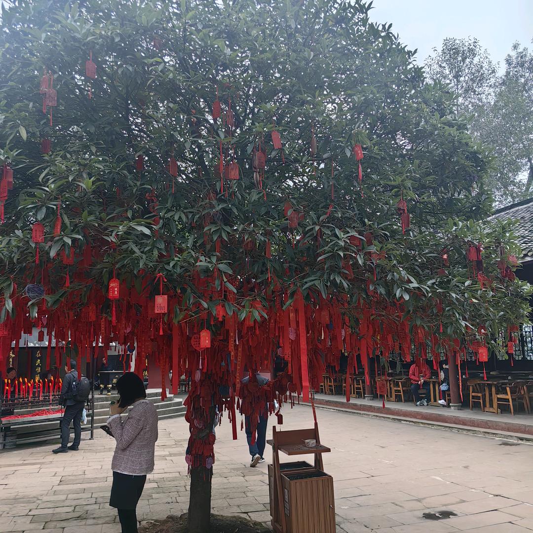 永不止步