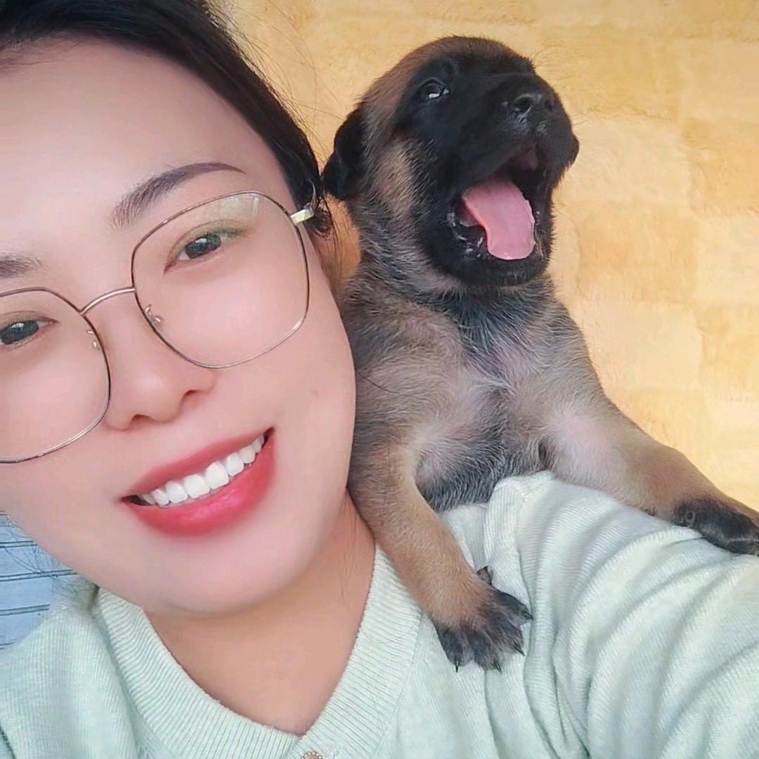 马犬狗仔队
