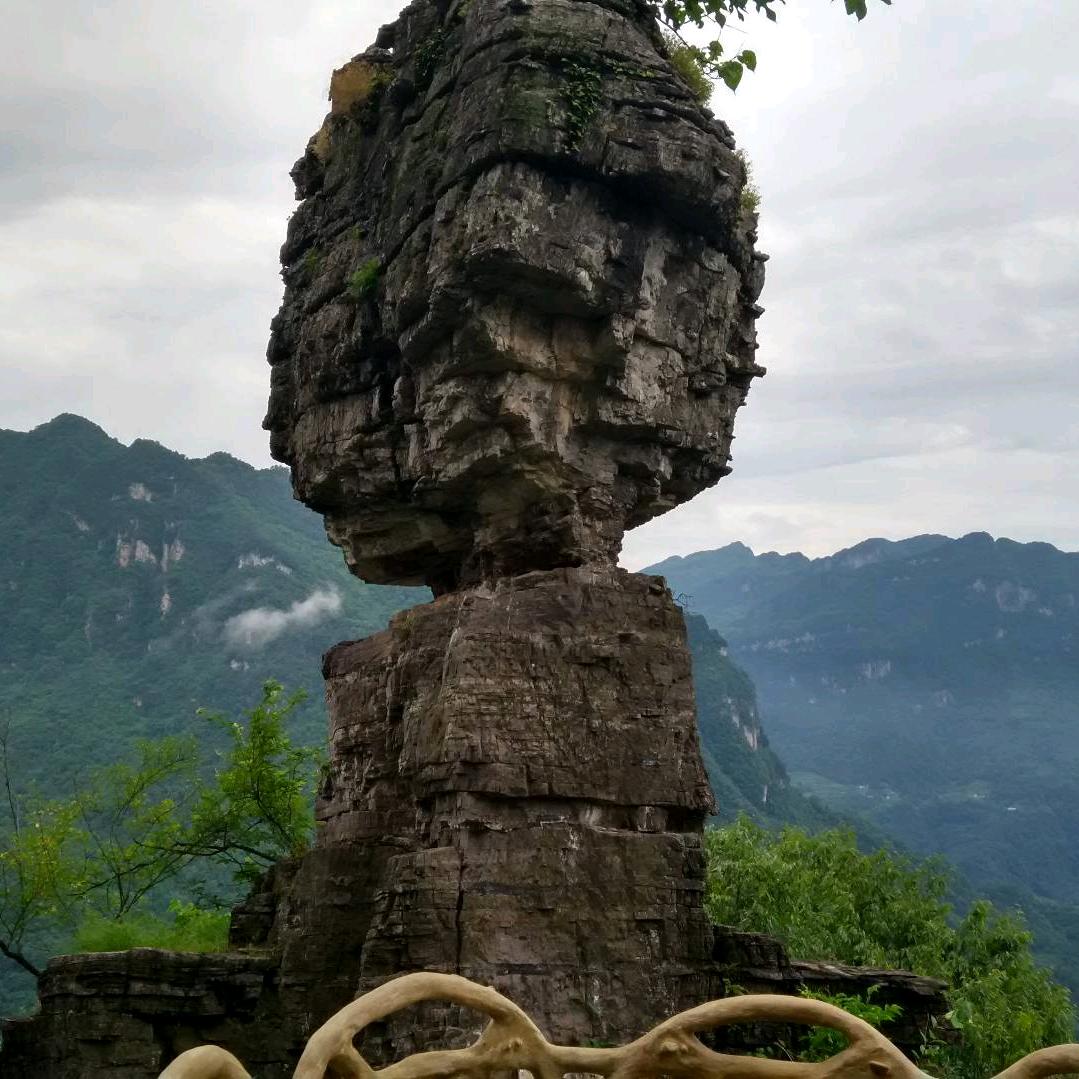 用户9685242348069