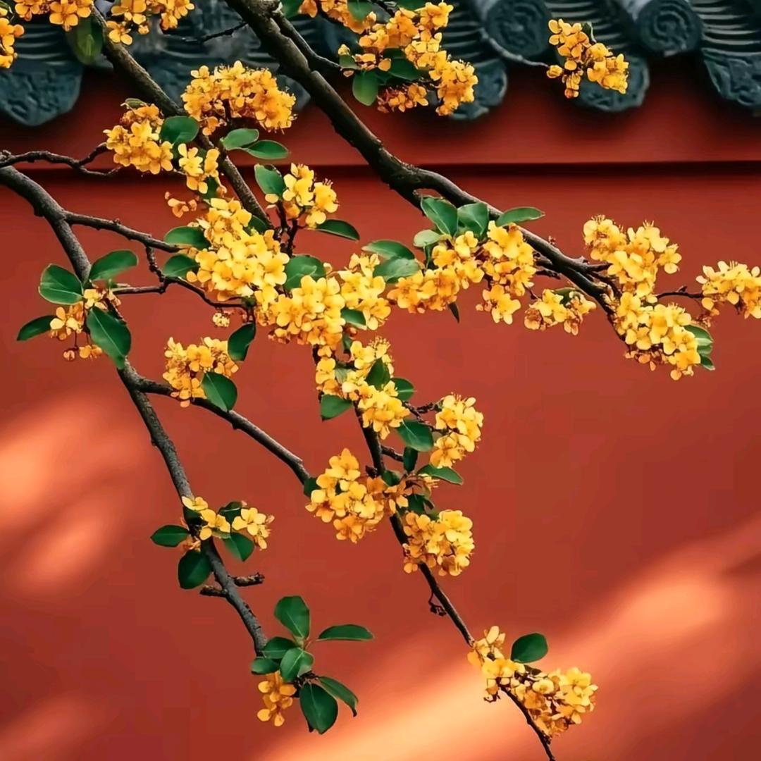 现在那边是几点