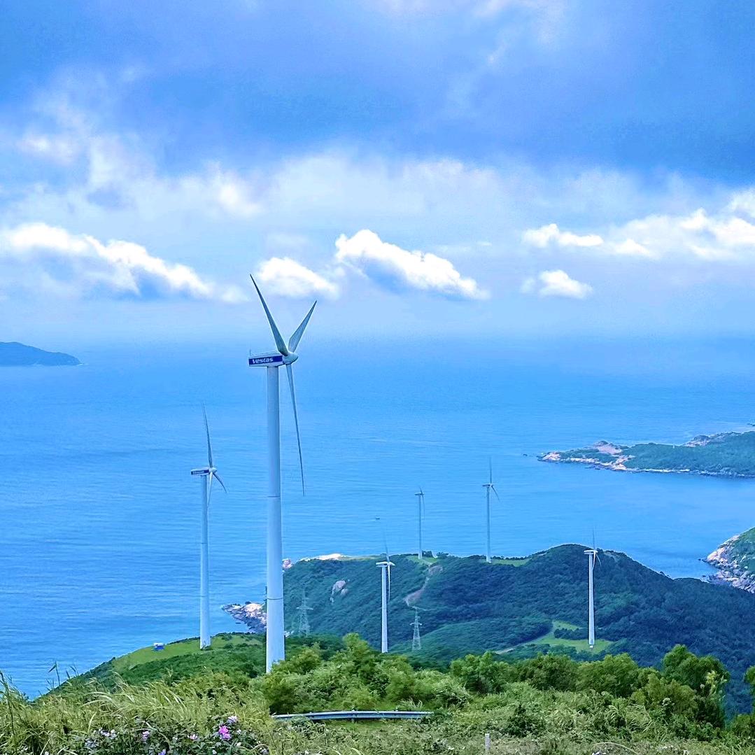 助理号537