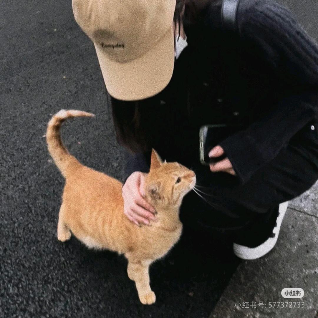 汤圆🍉