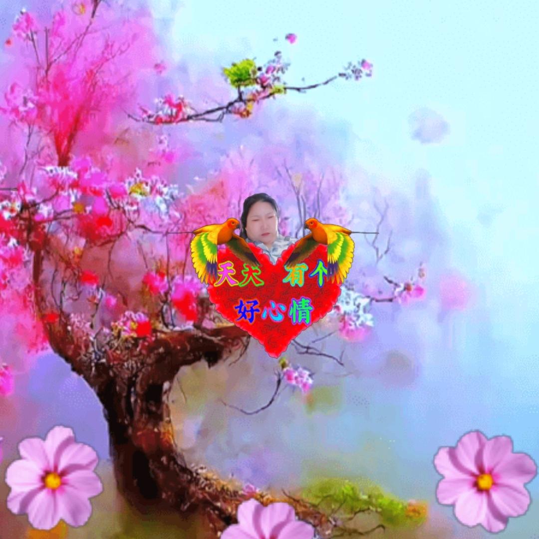 云南人在深圳
