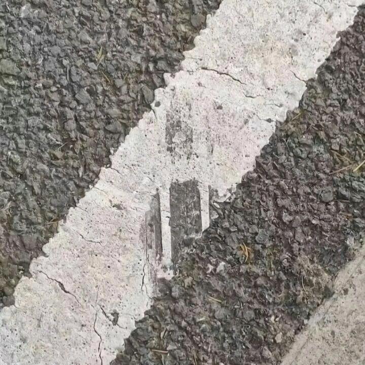 没有树枝