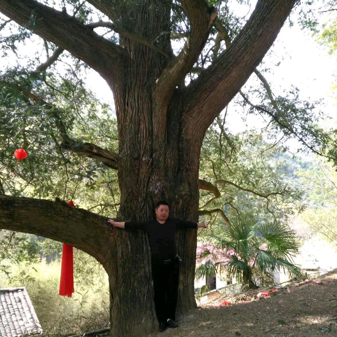 兵哥在马鞍山