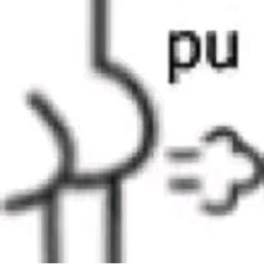 屁璋