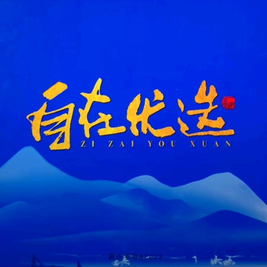 自在优选
