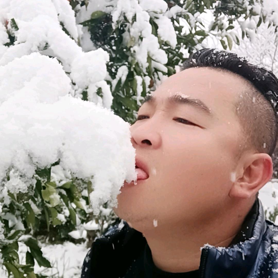 情海无情