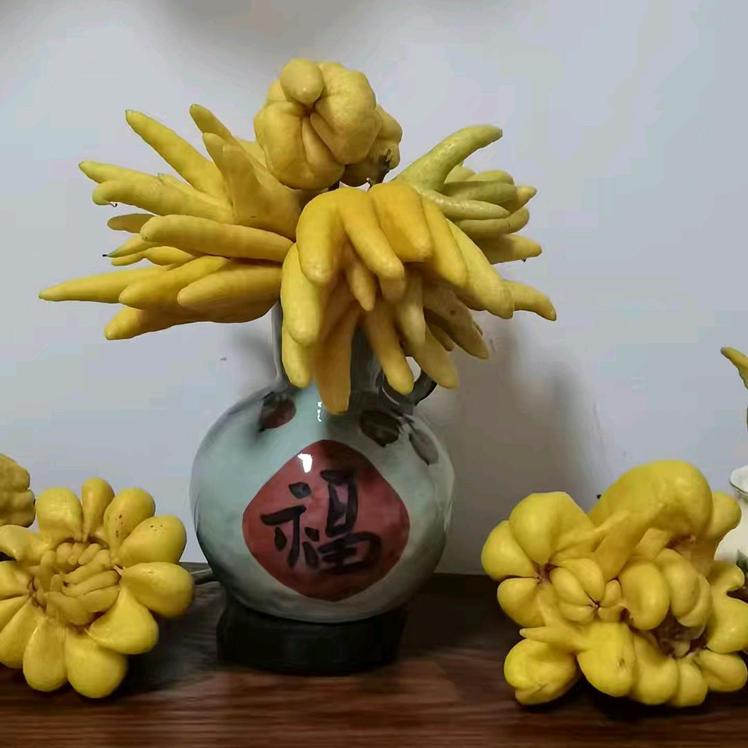 佛手园
