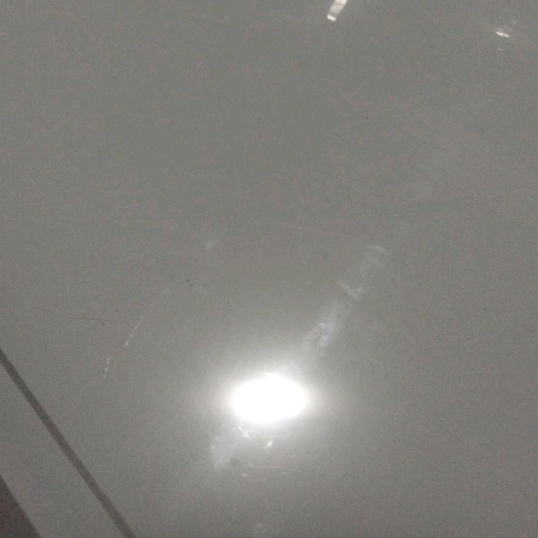 海东青