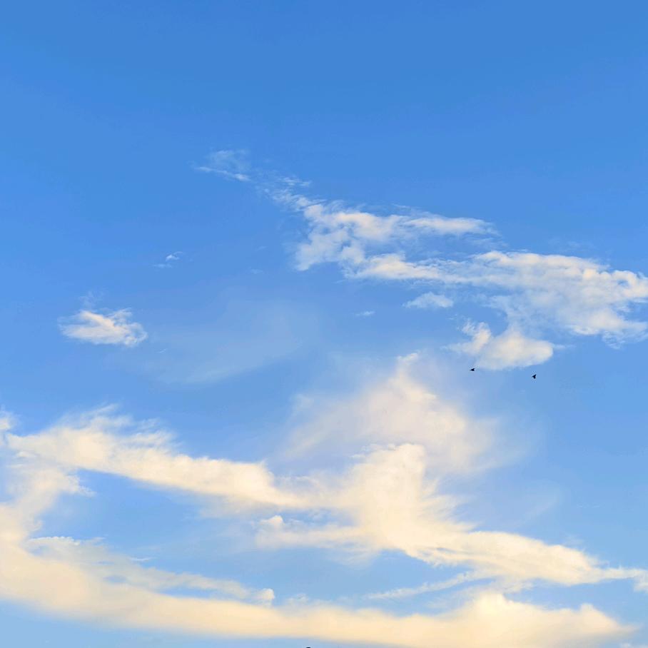 H～