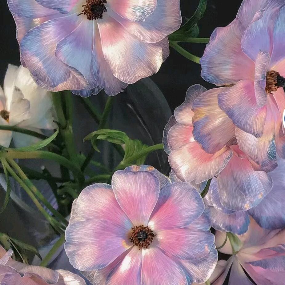 💓静如(❁´◡`❁)*✲ﾟ*水