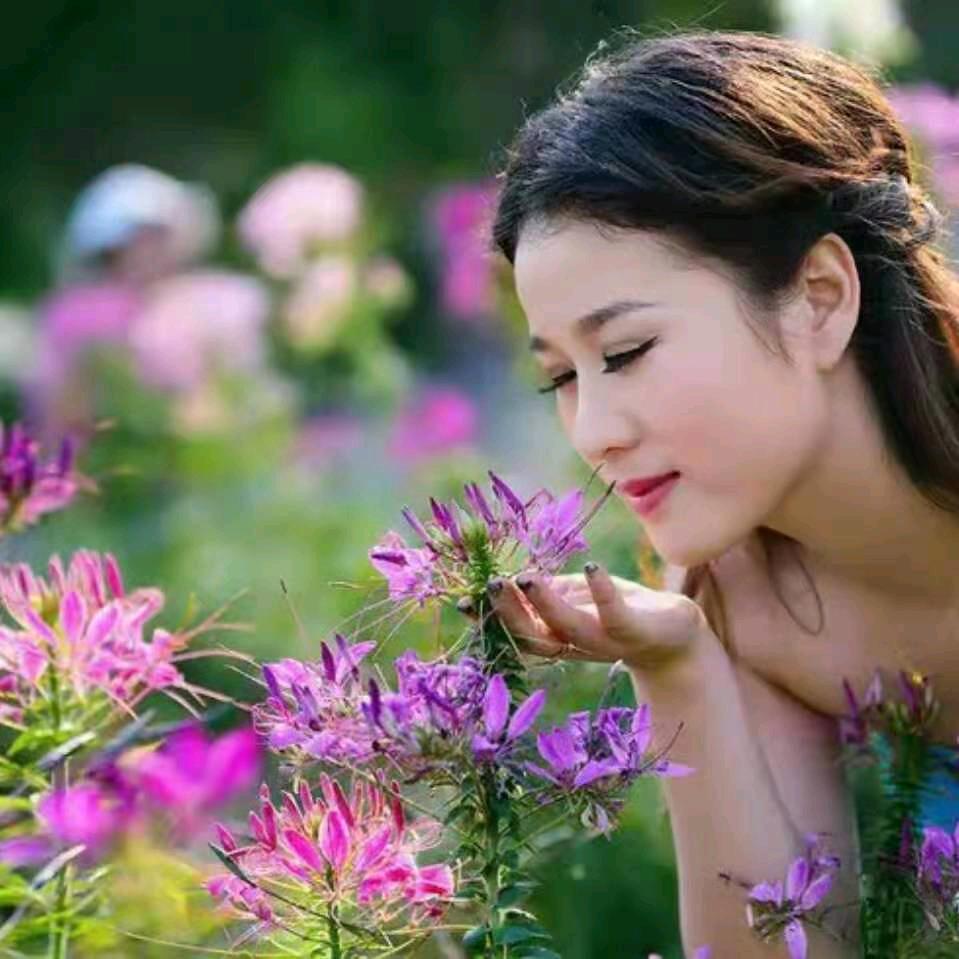 心随舞动