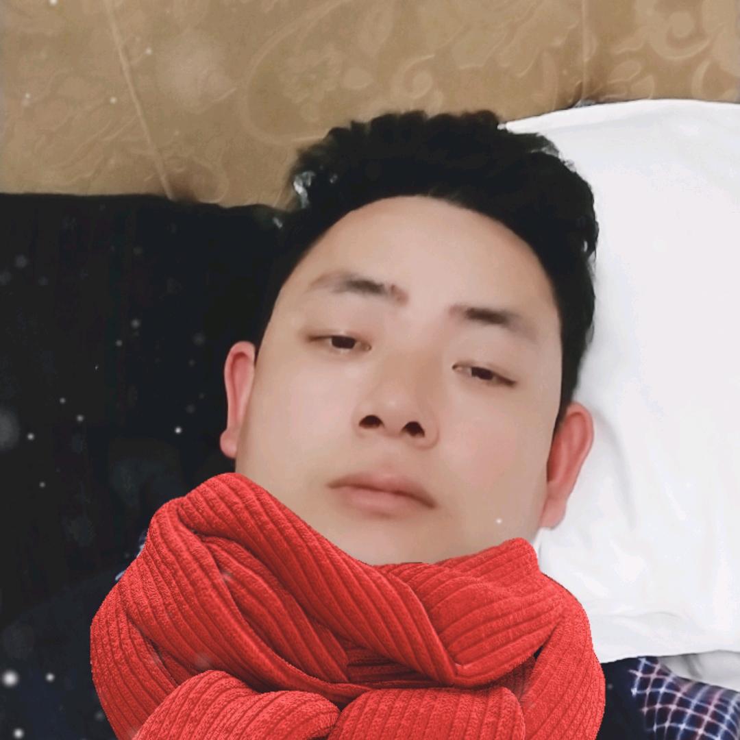 朱歌歌